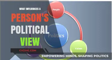 Shaping Beliefs: The Complex Factors Influencing Political Views