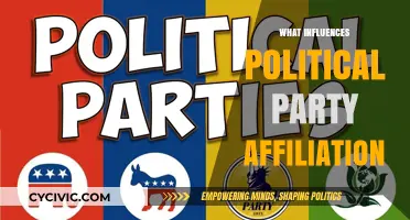 Factors Shaping Political Party Affiliation: A Comprehensive Analysis