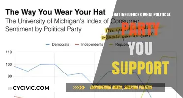 Factors Shaping Political Party Loyalty: Influences and Personal Beliefs