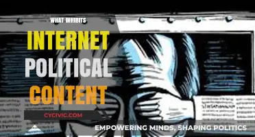 Barriers to Online Political Discourse: Censorship, Algorithms, and User Bias