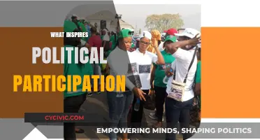 What Drives Citizens to Engage in Political Participation?