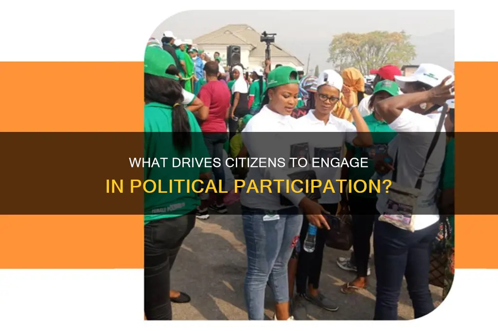 what inspires political participation