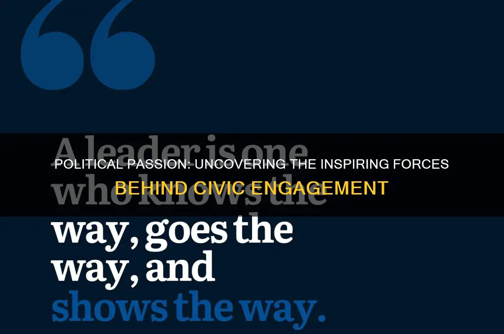 what inspires you about politics