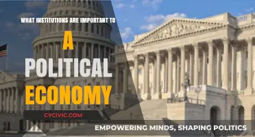 Key Institutions Shaping Political Economies: A Comprehensive Guide
