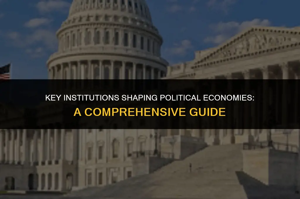 what institutions are important to a political economy