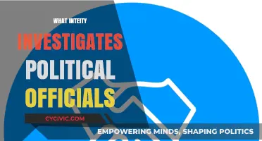 Who Watches the Watchmen? Entities Investigating Political Officials Explained