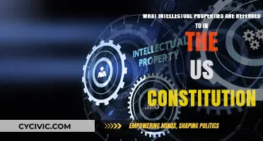 Intellectual Property Rights: US Constitution's Take