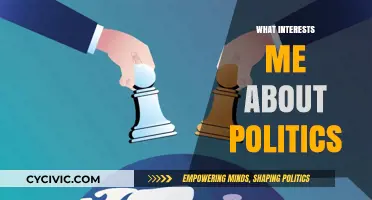 Why Political Dynamics, Policies, and Power Structures Fascinate Me