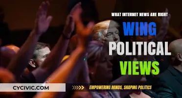 Exploring the Right-Wing Political Landscape in Internet News