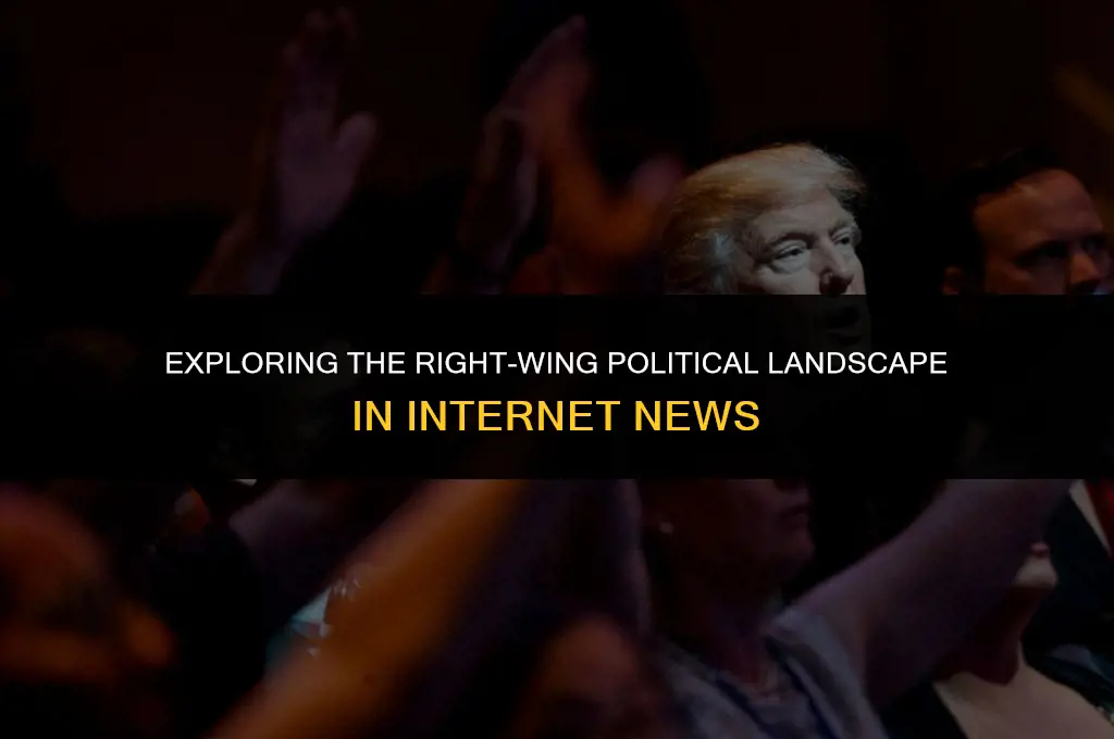 what internet news are right wing political views