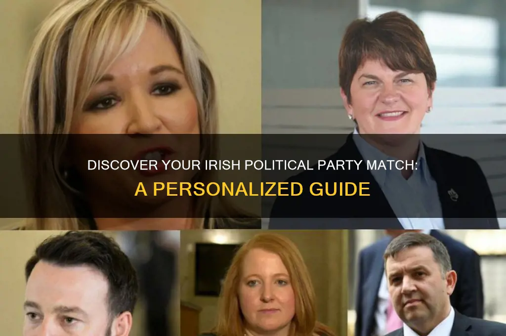 what irish political party are you