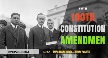 Constitutional Amendment: Understanding India's 100th Change
