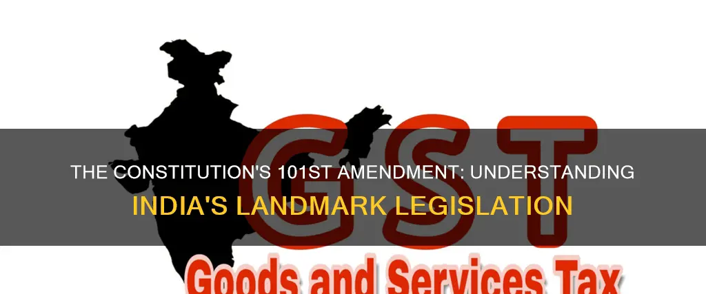 what is 101 amendment of indian constitution