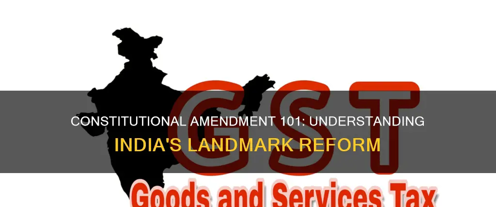 what is 101st constitutional amendment