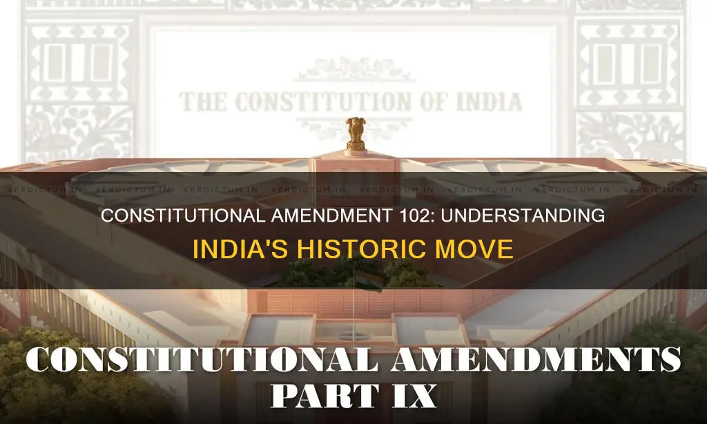 what is 102 constitutional amendment