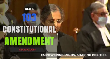 Constitutional Amendment 103: India's Landmark Moment
