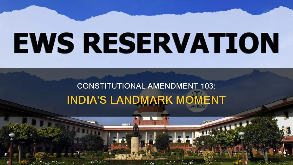 what is 103 constitutional amendment