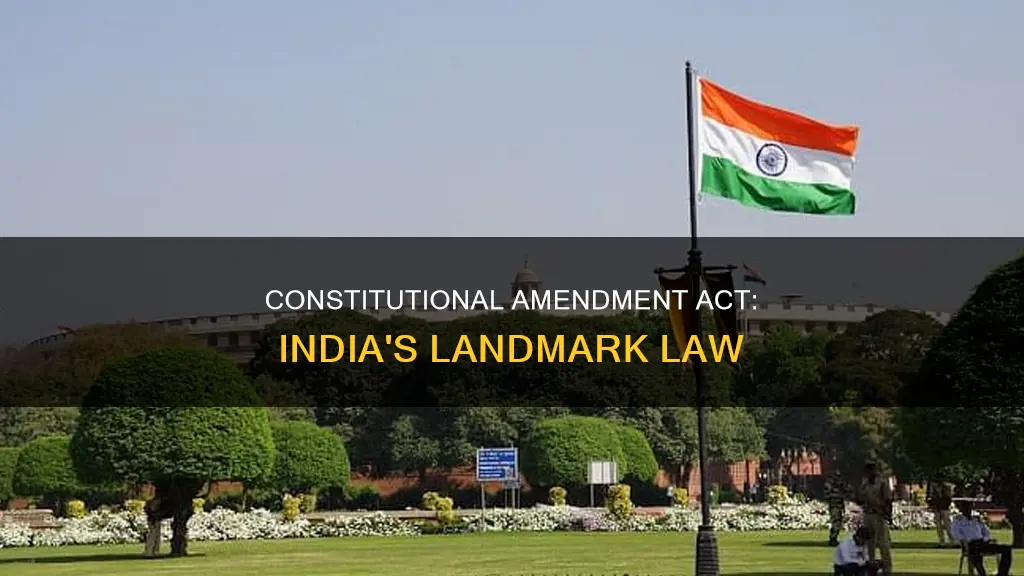 what is 103rd constitutional amendment act