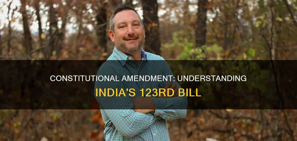 what is 123rd constitutional amendment bill
