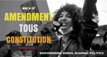 Understanding the First Amendment: Freedom's Safeguard