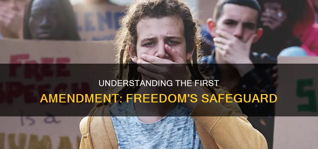 what is 1st amendment tous constitution