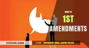 Understanding the First Amendment: Freedom's Foundation