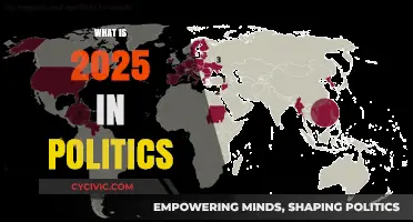 2025 Political Landscape: Key Elections, Trends, and Global Shifts Ahead