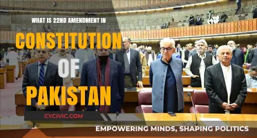 Constitutional Amendments: Pakistan's 22nd Amendment Explained