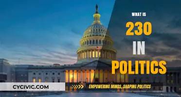 Understanding 230: Its Impact on Politics and Free Speech Online
