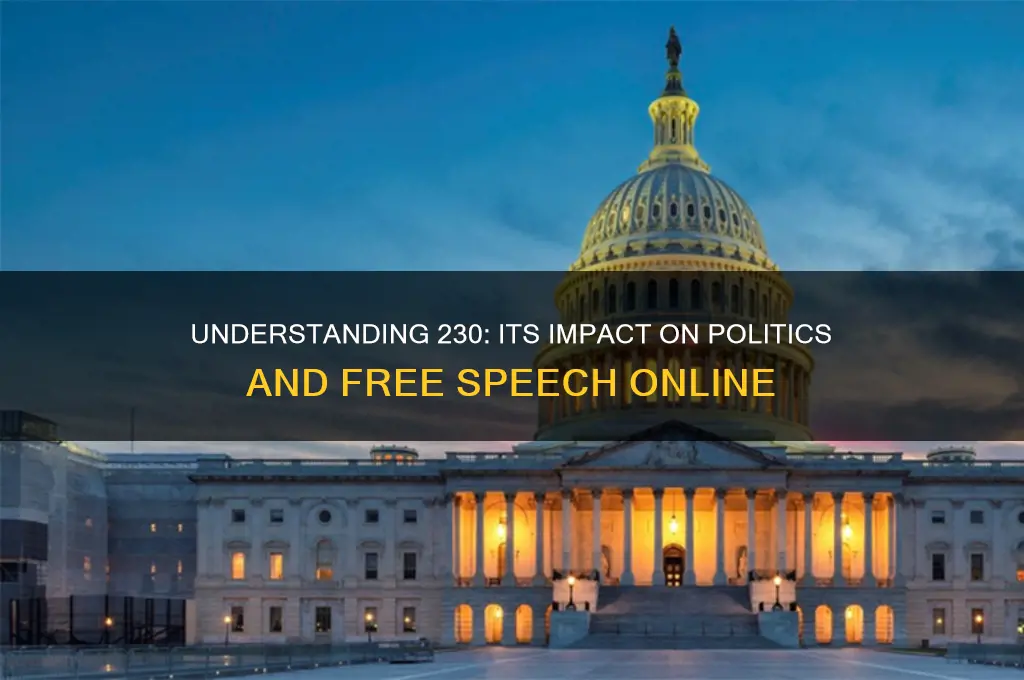 what is 230 in politics