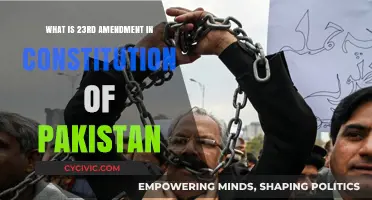 Understanding Pakistan's Constitution: The 23rd Amendment
