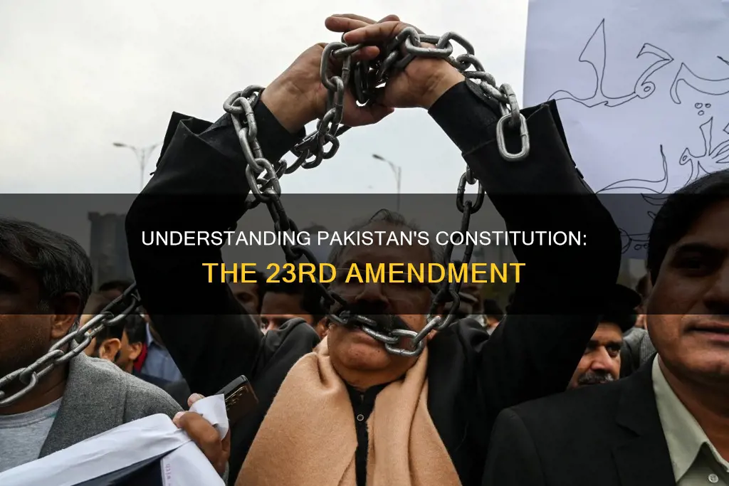what is 23rd amendment in constitution of pakistan