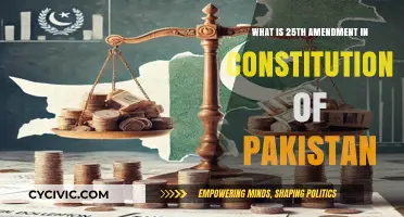 Amendment Power Play: Pakistan's 25th Constitutional Change