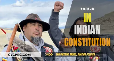 Understanding 30A: Immunity and Indian Constitution