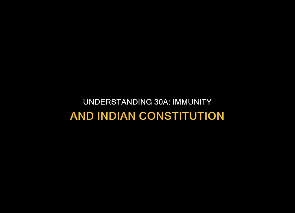 what is 30a in indian constitution