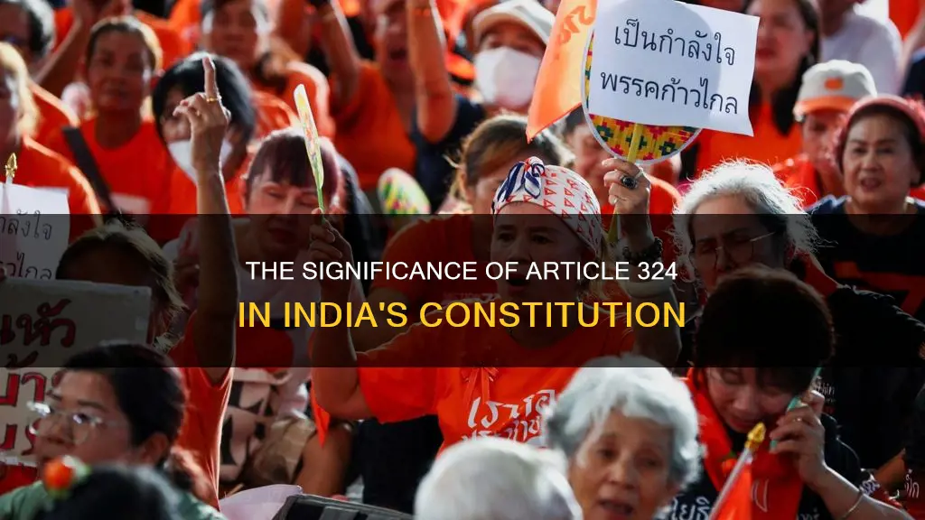 what is 324 in indian constitution