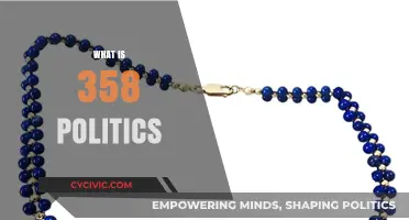 Understanding 358 Politics: A Comprehensive Guide to Its Meaning and Impact
