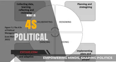 Understanding the 4S Political Framework: Strategies, Systems, and Societal Shifts