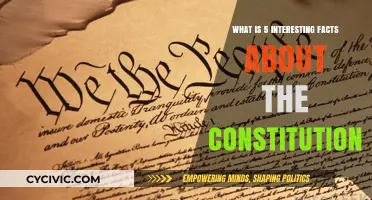 The Constitution: 5 Intriguing Facts You Need to Know