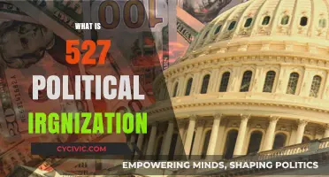 Understanding 527 Political Organizations: Definition, Role, and Impact