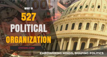 Understanding 527 Political Organizations: Definition, Role, and Impact