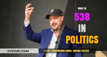 Understanding FiveThirtyEight's Role in Political Analysis and Polling