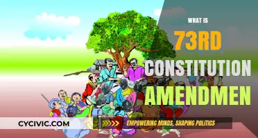 Constitutional Amendment: Powering India's Local Governments