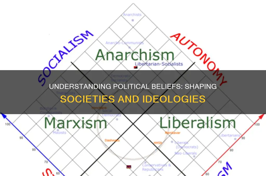 what is a belief political