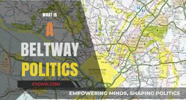 Understanding Beltway Politics: Insider Dynamics Shaping National Policy Decisions