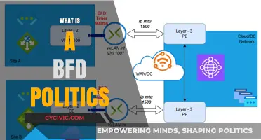 Understanding BFD Politics: Key Concepts, Impact, and Real-World Applications