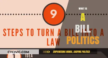 Understanding Bills in Politics: Their Role, Process, and Impact