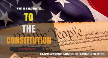 Understanding Constitutional Bills: Their Purpose and Impact
