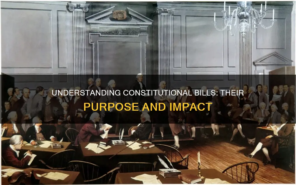 what is a bill related to the constitution