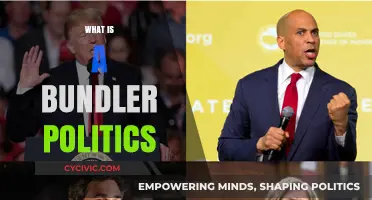 Understanding Bundler Politics: Influence, Fundraising, and Power Dynamics Explained
